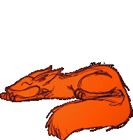 Sleeping Fox sketch by Amy
